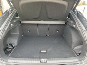 Cupra Terramar 1.5 eTSI DSG AHK/HD-Matrix/Navi/Standhzg/GJR