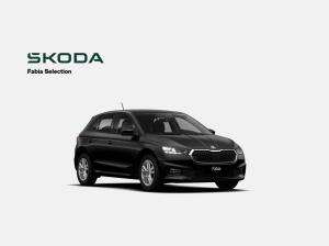 Skoda Fabia Tour 1.0 TSI 95 PS 5 Gang Licht & Sicht Plus Assistenzpaket Parken