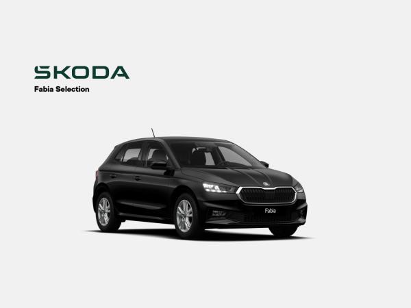 Skoda Fabia Tour 1.0 TSI 95 PS 5 Gang Licht & Sicht Plus Assistenzpaket Parken