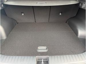 Kia Sportage BLACK EDITION DW PANO LEDER 19Z NAVI OTA IFS SHZ V+H PDC V+H RFKM KLIMA