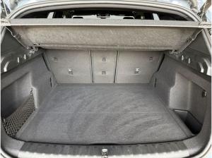 BMW X1 sDrive20i Aut., AHK, MSport, SHZ, LED