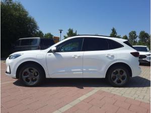 Ford Kuga 2.5 PHEV ST-Line X SHZ Anhängerkupplung