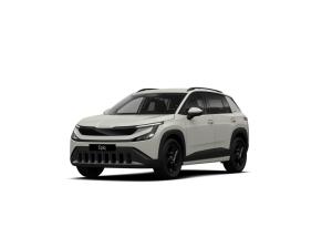 Skoda Epiq Selection 55 211PS