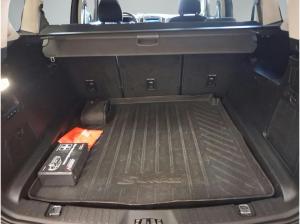 Ford S-Max Titanium Haustürlieferung inkl.