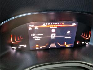 Seat Ibiza Road Edition*Winterpaket* VERFÜGBAR*