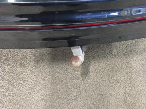 Volkswagen Tiguan R - Black-Style - AHK Kamera Pano Leder - 8-fach bereift