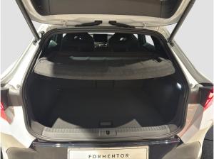 Cupra Formentor VZ 2.0 TSI 265PS 7-Gang-DSG *Sofort verfügbar*