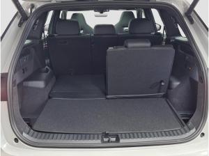 Skoda Kodiaq RS 2.0 TSI 4x4 Pano 7Sitz StaHzg