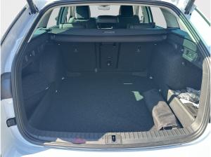 Skoda Octavia Combi Selection 2.0 TDI DSG – Vollausstattung & Top-Leasingrate!