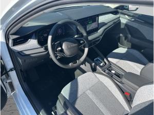 Skoda Octavia Combi Selection 2.0 TDI DSG – Vollausstattung & Top-Leasingrate!