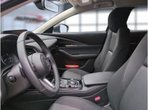Mazda CX-30 2.5 e-SKYACTIV-G Exclusive-Line 2WD Automati
