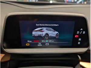 Cupra Tavascan Endurance 210kW (286 PS) 77kWh Wärmepumpe Sitzheizung Ganzjahresreifen