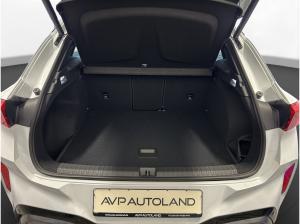 Cupra Terramar 1.5 eTSI DSG | HD-Matrix | AHK