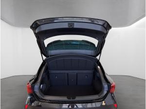 Cupra Leon 2.0 TSI DSG VZ Black Edition ab 359.-EUR AHK + Kamera + Navi u.v.m