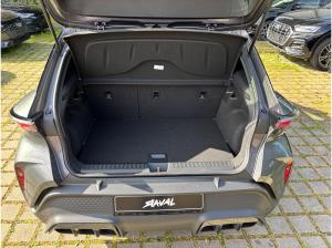 Cupra Raval Endurance