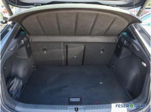 Cupra Formentor VZ 2.0 TSI 4Dr Tribe Edi AHK Akra Pano
