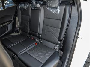 BMW X2 sDrive20i M Sport RFK NAVI LED Sound Syst.