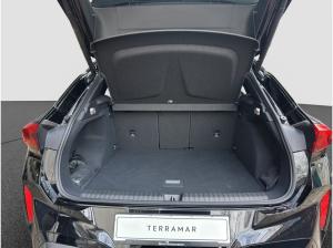 Cupra Terramar 2.0 TSI 204PS DSG 4Drive