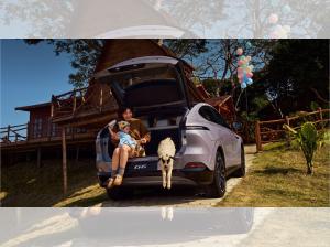 XPENG G6 ⚡ Standard Range 251 PS RWD 455 km ELEKTRO DEAL