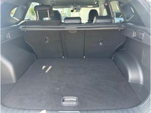 Hyundai TUCSON N Line+Hybrid+Sitz Paket+360 Kamera Assistenz Paket+Dachlackierung
