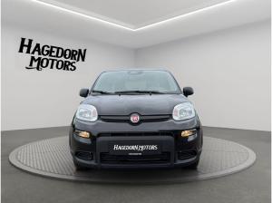 Fiat Panda Pandina TZ nur 99€ sofort verfügbar