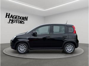 Fiat Panda Pandina TZ nur 99€ sofort verfügbar