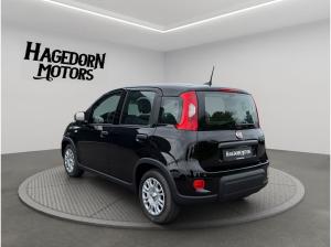 Fiat Panda Pandina TZ nur 99€ sofort verfügbar