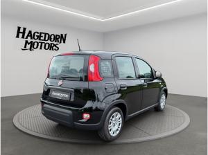 Fiat Panda Pandina TZ nur 99€ sofort verfügbar