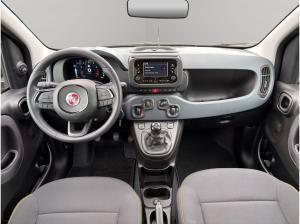 Fiat Panda Pandina TZ nur 99€ sofort verfügbar