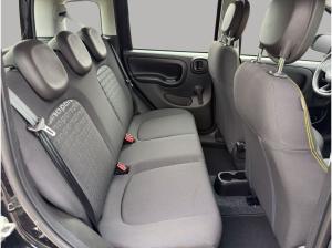 Fiat Panda Pandina TZ nur 99€ sofort verfügbar