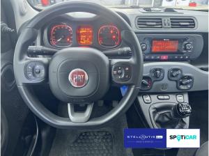 Fiat Panda 1.0 GSE Hybrid City Life 🔥🔥🔥Sonderleasingangebot🔥🔥🔥