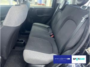 Fiat Panda 1.0 GSE Hybrid City Life 🔥🔥🔥Sonderleasingangebot🔥🔥🔥