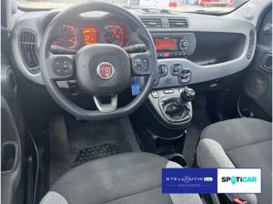 Fiat Panda 1.0 GSE Hybrid City Life 🔥🔥🔥Sonderleasingangebot🔥🔥🔥