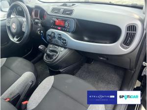 Fiat Panda 1.0 GSE Hybrid City Life 🔥🔥🔥Sonderleasingangebot🔥🔥🔥
