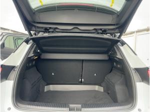 Renault Austral Alpine Hybrid E-Tech 200 *4-Control *GJR