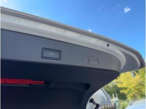 Volkswagen Golf Variant VIII 1.5 eTSI DSG Style Navi LED SHZ