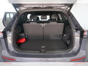 Volkswagen Tayron (R41)