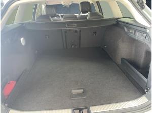 Volkswagen Passat Business 1.5 eTSI DSG /AHK /IQ-DRIVE