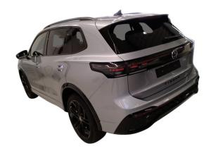 Volkswagen Tiguan R-Line 2.0TSI DSG 4Motion +AHK+STDHZ+