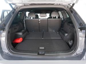 Volkswagen Tayron (R41)
