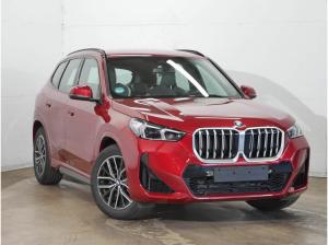 BMW X1 xDrive23i M Sport //Stop&Go AHK Memory HeadUp