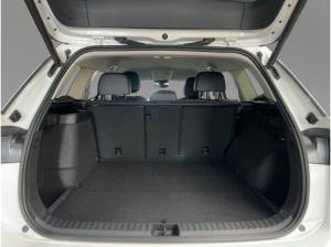 Volkswagen Tayron 1.5 TSI eHybrid Elegance AHK Area View Matrix