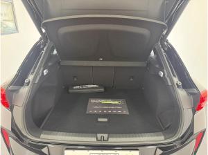 Cupra Terramar DSG AHK | EDGE + DYNAMIC Paket | Allwetterreifen
