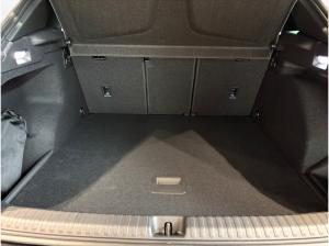 Cupra Terramar 1.5 eTSI DSG | HD-Matrix | Business Plus