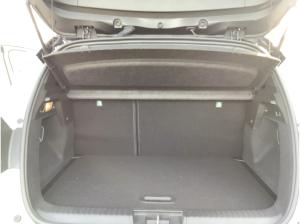 Renault Captur Techno Eco-G 100*Allwetter *Sitzh. *18"LM