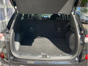 Ford Kuga 1.5 EcoBlue ST-Line Pano Kamera Sitzheizung