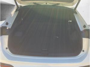 Volkswagen Tiguan R-Line 2,0l TDI DSG *AHK*AREA*ACC*