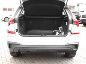 Skoda Kamiq Essence 1.0 TSI DSG (1xSilber & 1xSchwarz)