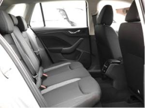 Skoda Kamiq Essence 1.0 TSI DSG (1xSilber & 1xSchwarz)