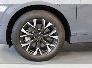Cupra Terramar e-Hybrid | Sonderaktion | -14552